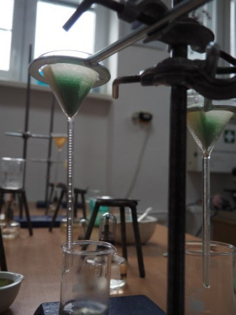 2017P1010009 (21) (Small).JPG